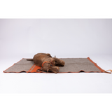 Duepuntootto Ansel Hundedecke Wolle orange mit Dackel