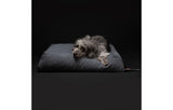 DuePuntoOtto Yousuf Hundebett Hundekissen grau anthrazit