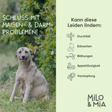 Milo & Mia Daily Bites + 30-Tage Magen-Darm-Kur im Vorteilspaket