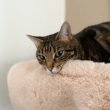 Hoopo Flip Katzenbett braun mit Katze