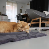 Hoopo Flip Katzenbett dunkelgrau mit Katze