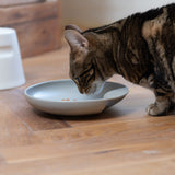 Hoopo Plate Katzennapf grau mit Katze