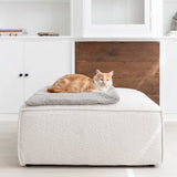 Tri-Katzendecke von Hoopo | weiss