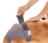 Lill's Läufigkeitshöschen stone grey mit Hund