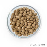 Ofrieda Insekten-Hundefutter | Schonkost