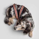 Nachhaltige Hundeleine Peruvian Arrow von Buddys Blau mit Hund
