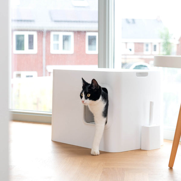 Hoopo Dome nachhaltiges Designer Katzenklo Weiss