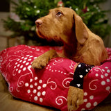 Stützpunkt Kinesiotape für Hunde | Ass im Ärmel