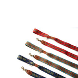 Nachhaltige Hundeleine Etna von Buddys Rot, Blau und Grün