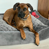 LABONI Classic Hundebett | Kollektion OXFORD | Stone