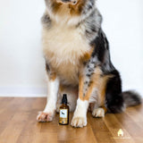 LILA LOVES IT Silberspray | 50ml