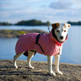 Paikka Hunderegenmantel Pink