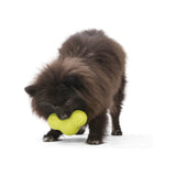 West Paw Tux Hundespielzeug | Grün