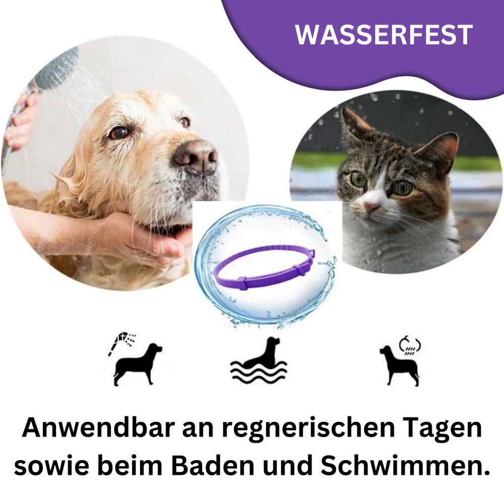pheromon halsband hund Pheromon Beruhigungs-Halsband