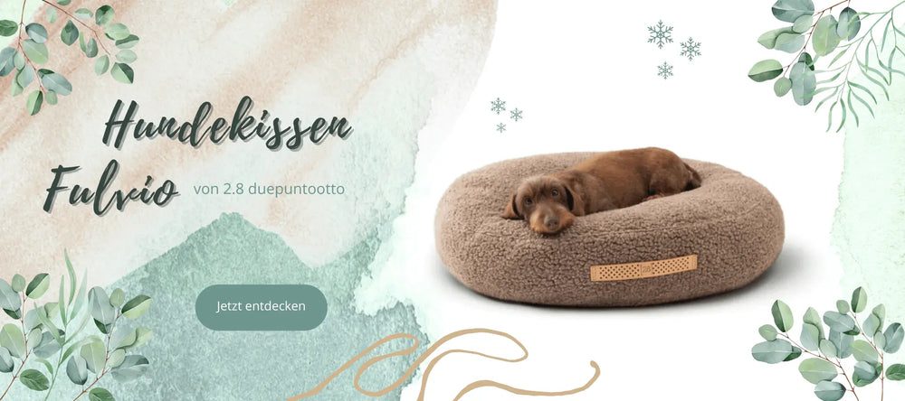 Fulvio Hundekissen bei PetCrew 
