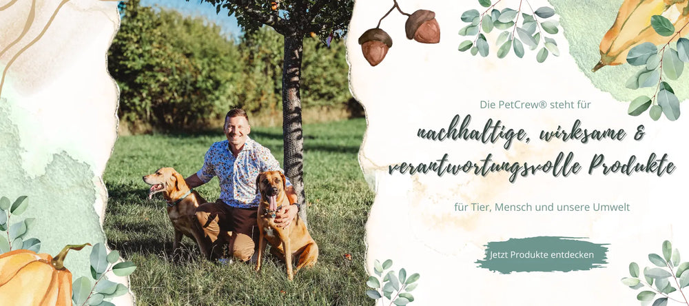 PetCrew - nachhaltige und vertrauensvolle Hundeprodukte 