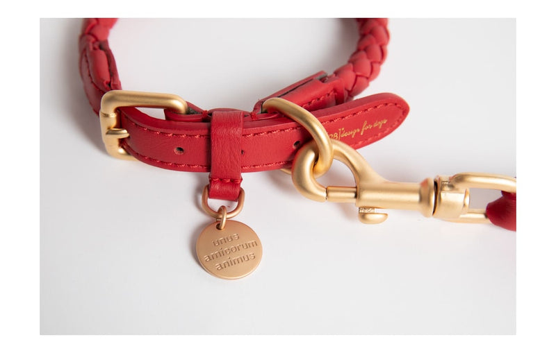 DuePuntoOtto Ferdinando Hundehalsband rot 