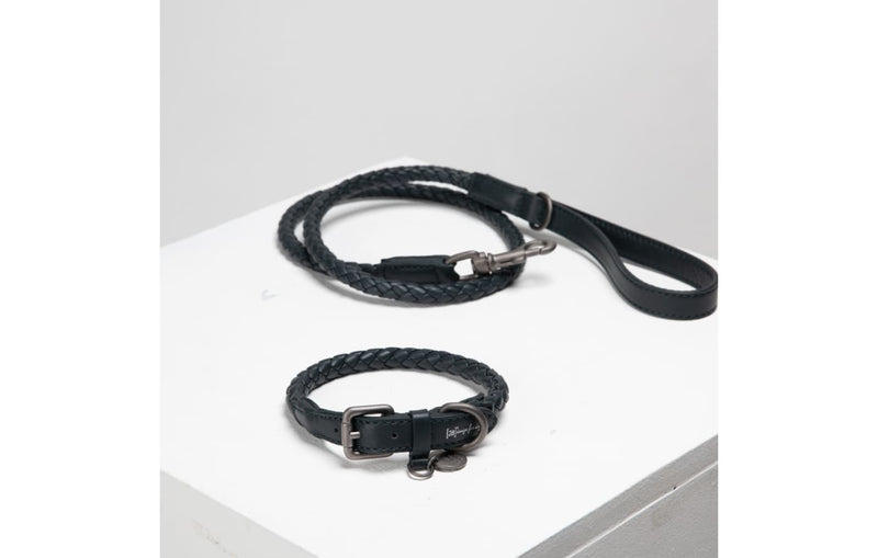 DuePuntoOtto Ferdinando Hundehalsband mit Leine schwarz shark 