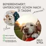 Milo & Mia Magen & Darm Daily Bites Softsnack