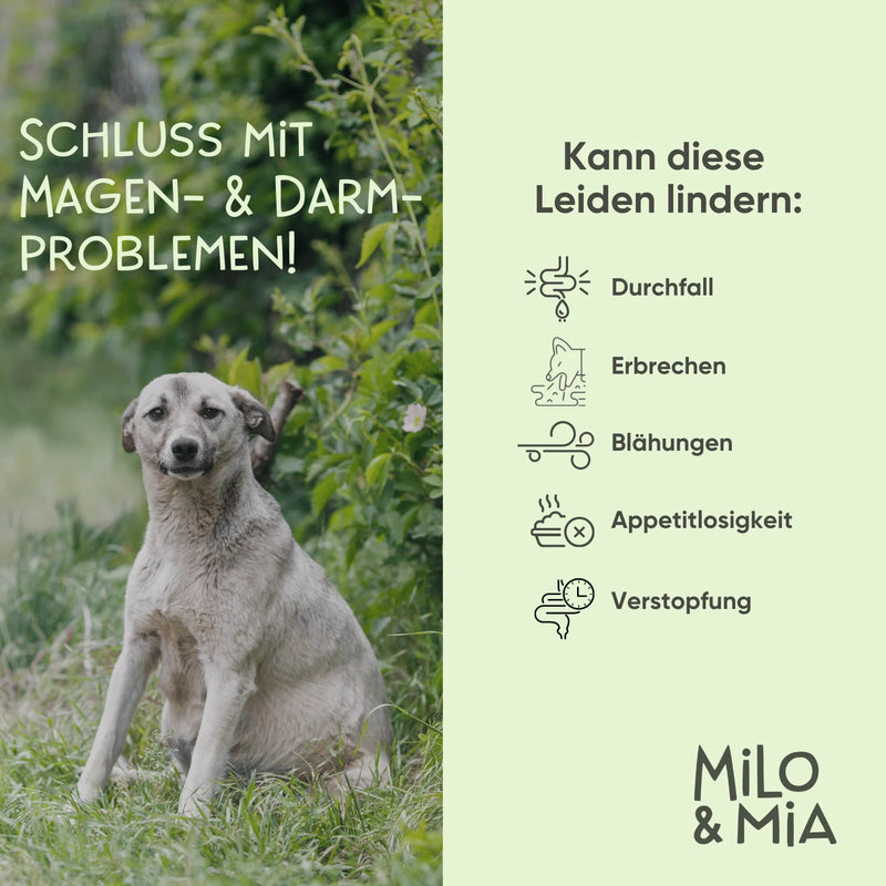 Milo & Mia Magen & Darm Daily Bites Softsnack