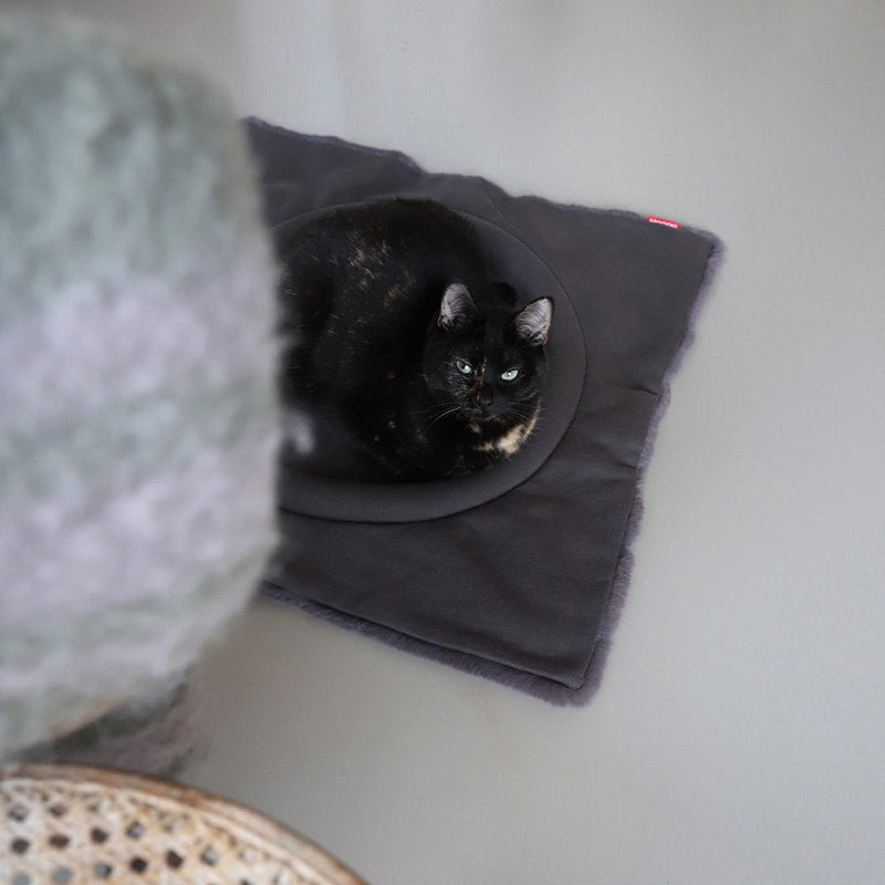 Hoopo Flip Katzenbett dunkelgrau mit Katze
