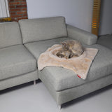 Hoopo Flip Katzenbett braun mit Katze auf Couch