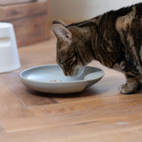 Hoopo Plate Katzenfressnapf grau mit Katze