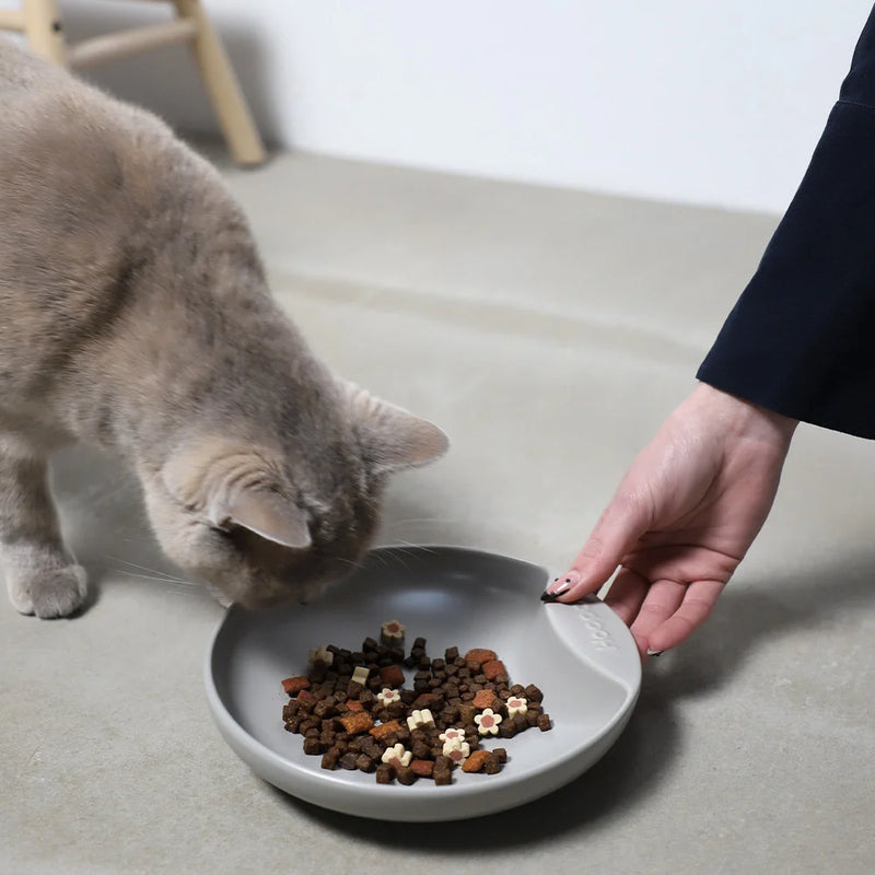 Hoopo Plate Katzenfressnapf grau mit Katze und Katzenfutter