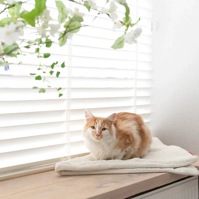 Hoopo Tri-Katzendecke weiss mit Katze auf Fensterbank