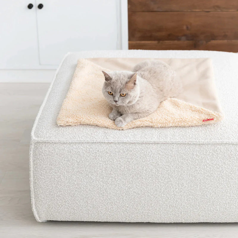 Hoopo Tri-Katzendecke beige mit Katze auf Couch