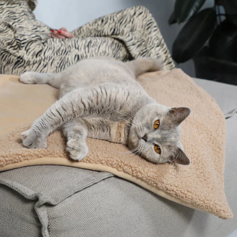 Hoopo Tri-Katzendecke braun mit Katze auf Couch