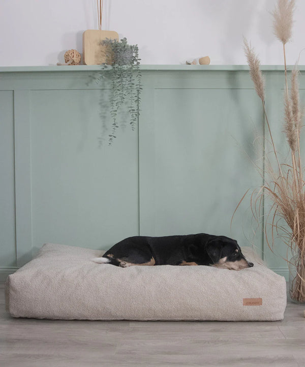 BUDDY. Hundebett - LeFluff - aus recycelten Materialien - online kaufen