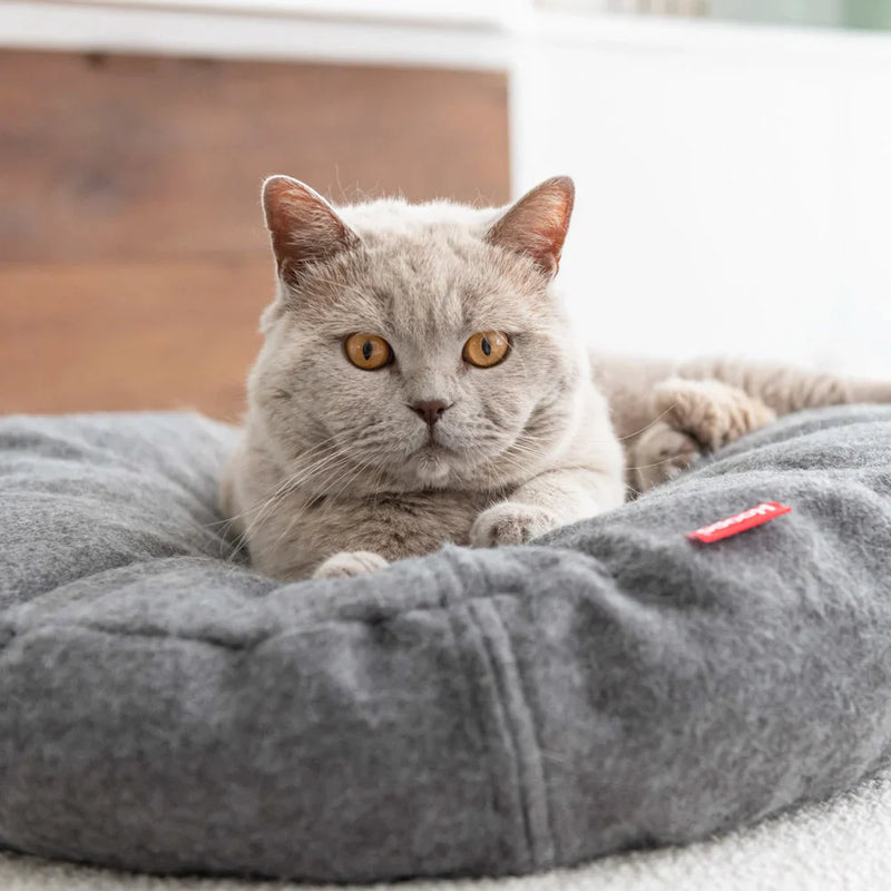 Kuscheliges Bett für Katzen von Hooopo inn grau