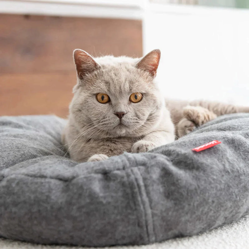 Katzenbett Donut - Hellgrün