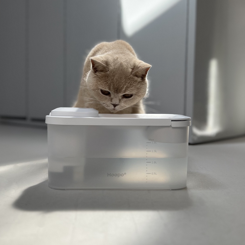 Katzen mit einem Katzenbrunnen von Hoopo bei PetCrew