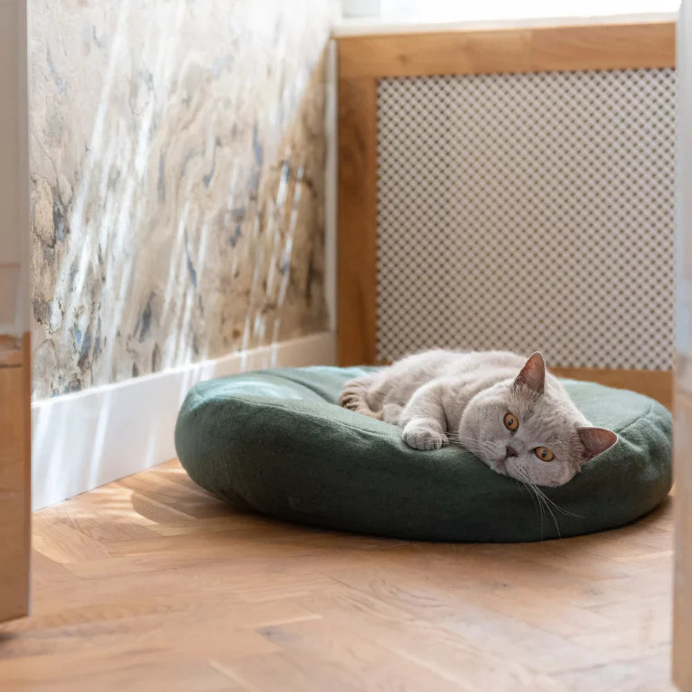 Rocorose Donut Hundebett – Waschbar, Plüschweich, Mit Erhöhtem Rand, Rutschfester Boden, 60 Cm, Dunkelgrau