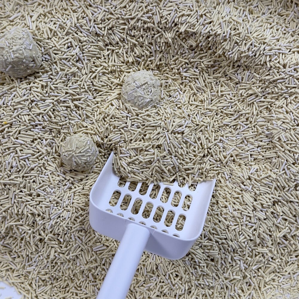 katzenstreu kaufen Katzenstreu Tofu von Hoopo