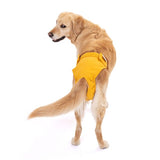 Lill's Läufigkeitshöschen gelb amber mit Hund