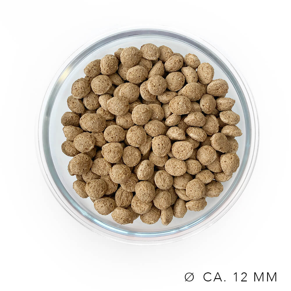 Hundefutter Pankreasinsuffizienz