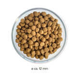 Ofrieda Insekten-Hundefutter | Patentrezept
