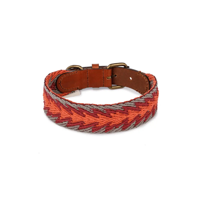 Buddys Hundehalsband Peruvian Arrow Orange