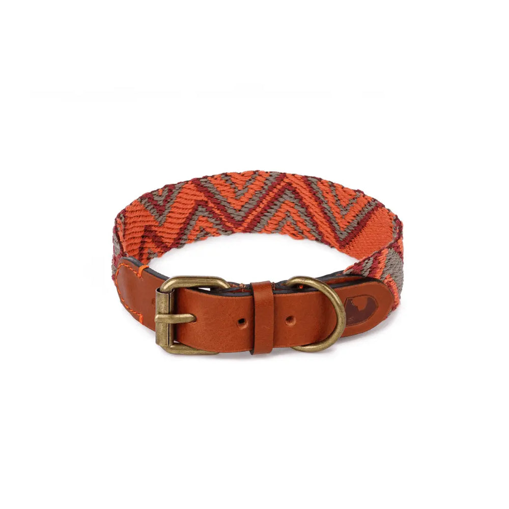 Native Pup Polka Dot Hundehalsband In Rot, Large – Verstellbar, Robust Mit Metall-D-Ring