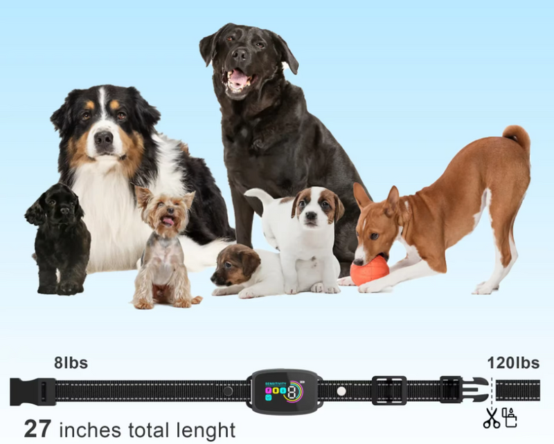 Hundetraining Halsband 8 Stufen Empfindlichkeit Vibration Schockmodu Hundetraining Halsband 8 Stufen Empfindlichkeit Vibration Schockmodu