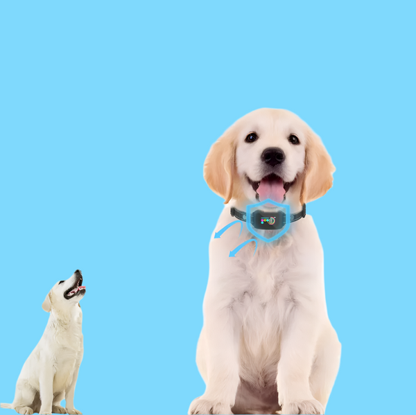 Hundetraining Halsband – 8 Stufen Empfindlichkeit Vibration Schockmodu