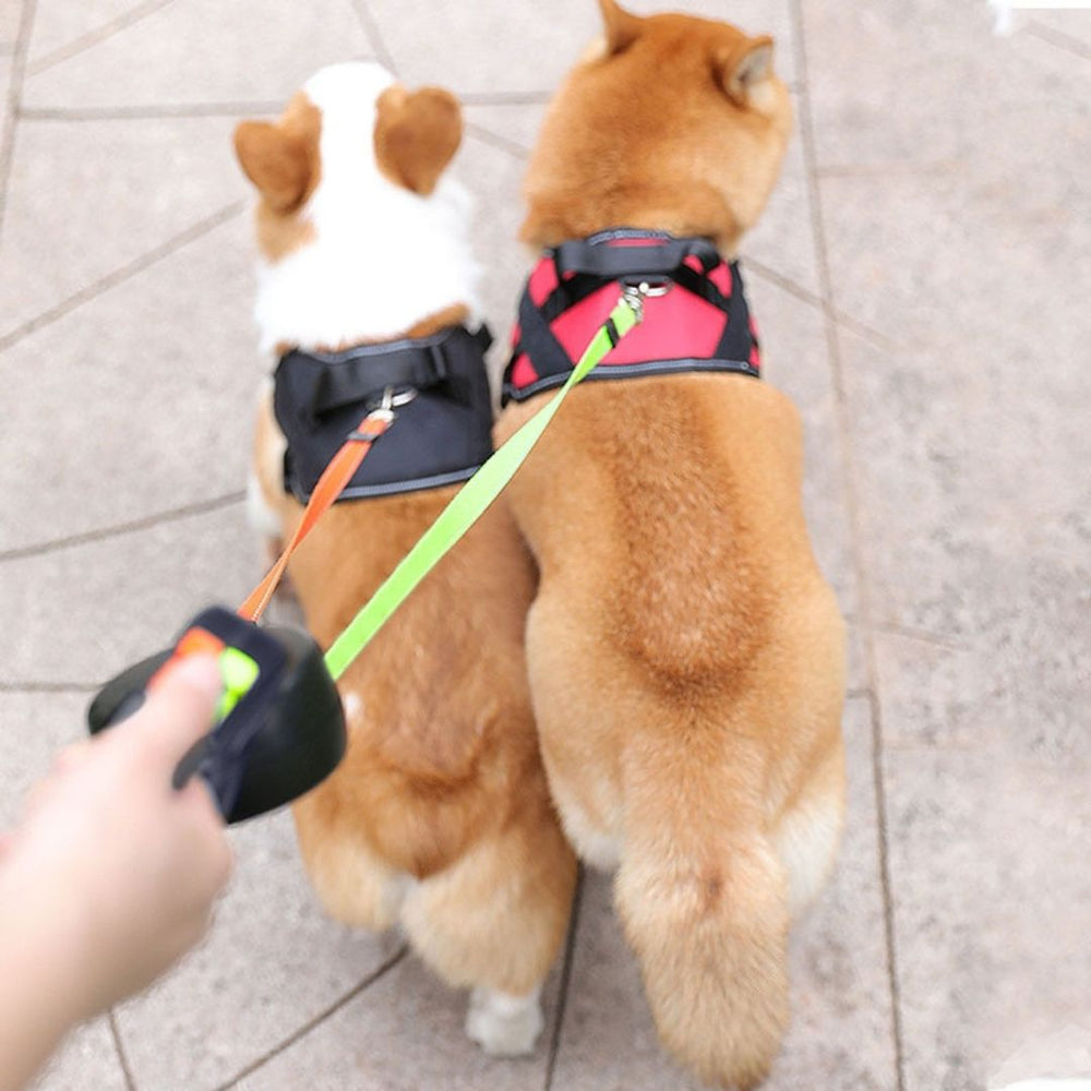 Max And Neo Hundeleine Mit Doppeltem Griff – 1,8 M, Reflektierend – Robustes Nylon Für Große Hunde