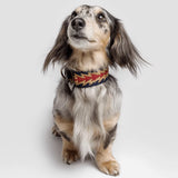 Buddys Hundehalsband Peruvian Arrow Blau