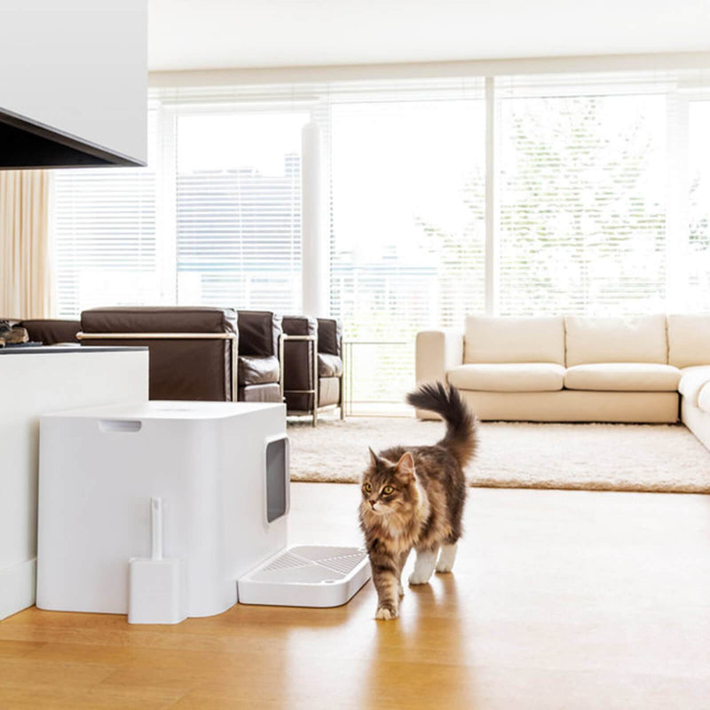 Hoopo® Dome Plus nachhaltiges Katzenklo | Grau