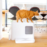 Hoopo® Dome Plus nachhaltiges Katzenklo | Pink