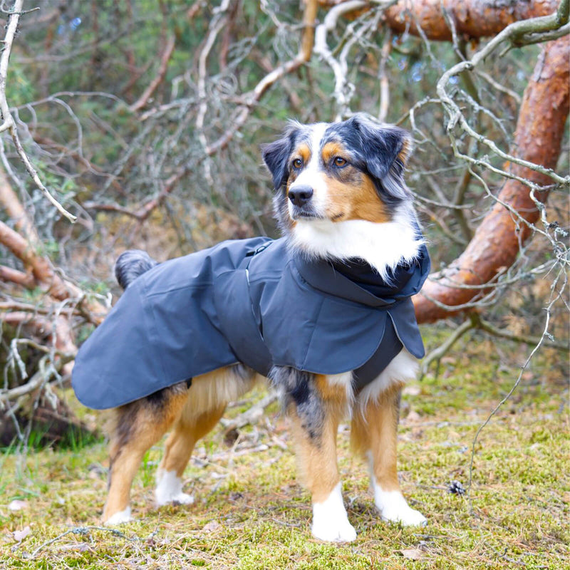 Warmer Wintermantel für Hunde von Paikka in Schwarz 