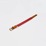 Buddys Hundehalsband Peruvian Arrow Orange ausgerollt